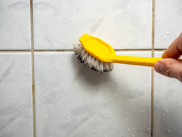 Best Black Mold Removal  in Navarre, FL